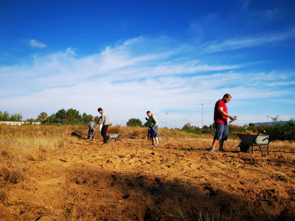 1. Aktionstag Fußball- und&nbsp;Volleyballplatz