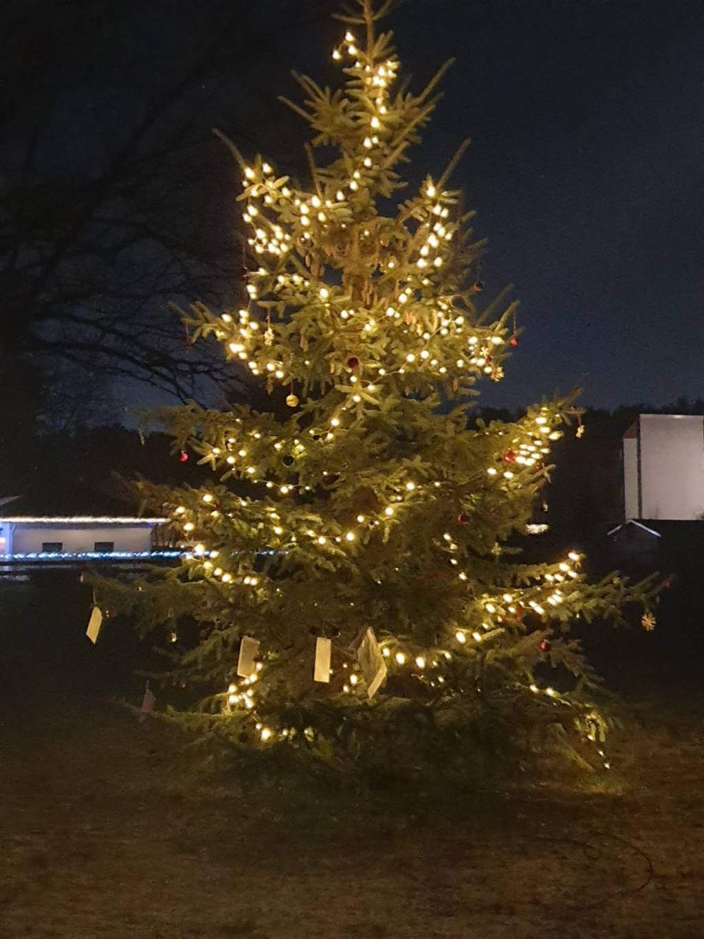 Anleuchten 2025 – es werde&nbsp;Licht